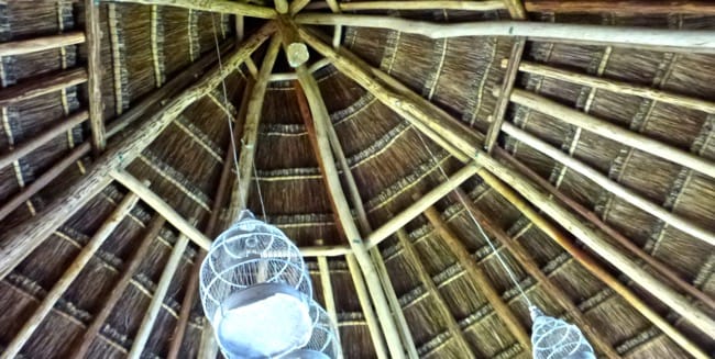 palapa