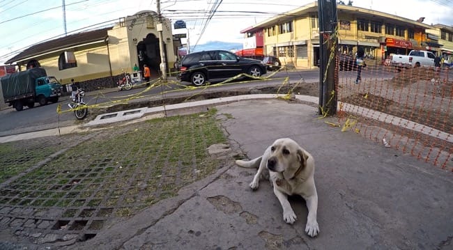 costa rica. waiting...